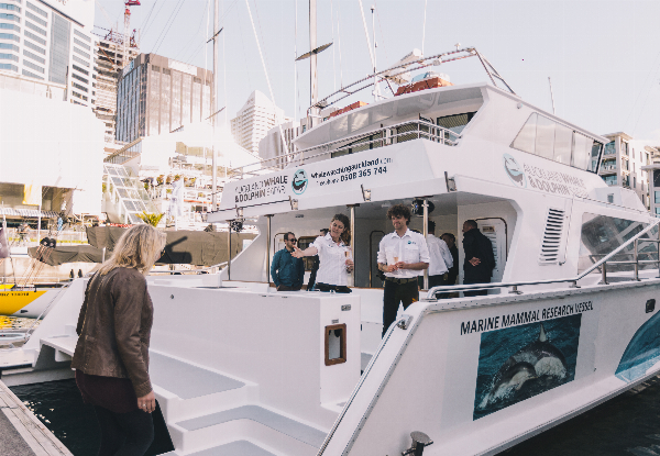 Private Auckland Charter Hire - Five Options Available