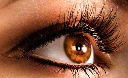 $39 for a Set of Silk Eyelash Extensions with Brow Shaping, or $45 to incl. One Fortnightly Refill