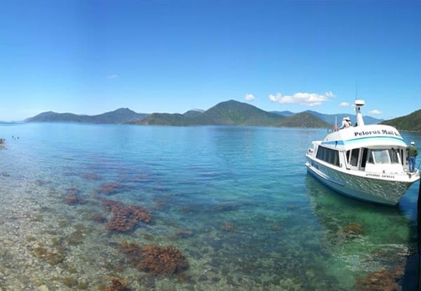 $65 for a Return Weekend Delivery Cruise from Havelock Marina incl. Stops at Skiddaw Farm, Hopewell Lodge, Raetihi Lodge & Te Mahia Resort or $40 to incl. Stop Off & Pick-Up (value up to $95)