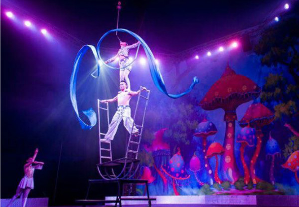 Adult Ticket to the Brand New 
'Cirque Grande' - Option for Child's Ticket Available