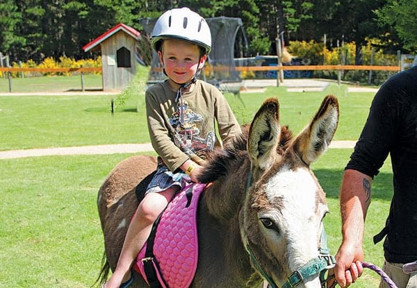 Hanmer Springs Animal Park