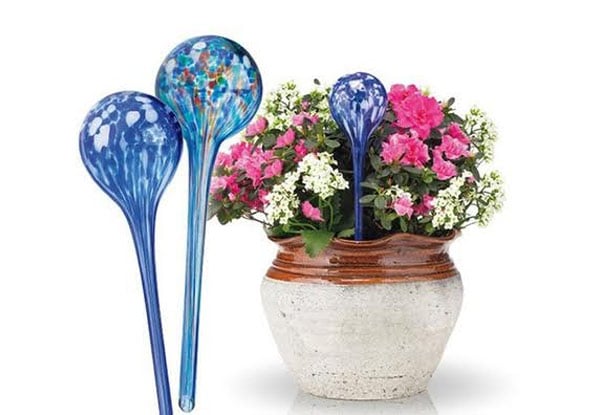 $19.99 for a Set of Two Hand Blown Glass Houseplant Watering Orbs