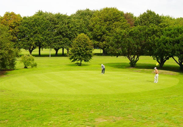 12 or 18 Holes of Golf - Options for a Five-Round Concession Card