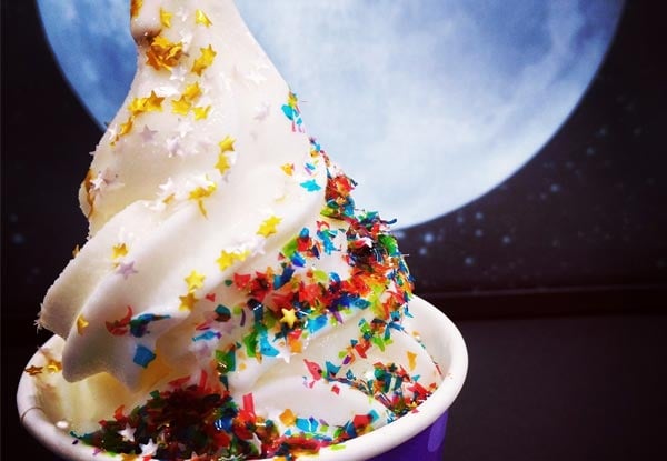 Large Cup of Frozen Yoghurt