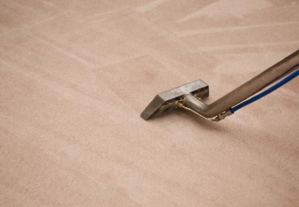Carpet Clean for a One-Bedroom House - Options for up to Five-Bedroom House