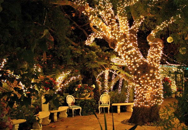 $45 for Two Solar Fairy Lights with 400 LEDs incl. Metro Delivery