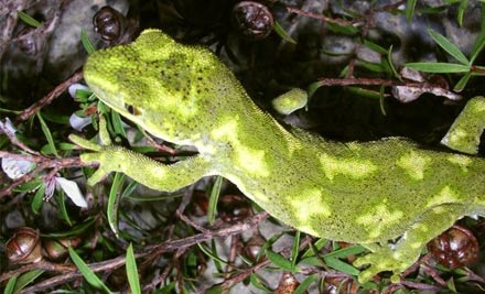 Ti Point Reptile Park