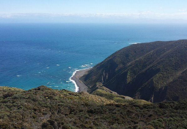 Kiwi Coastal Tours