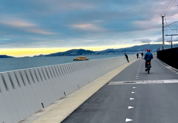 The Ultimate Wellington Bays & Petone Full-Day eBike Adventure - Options for Two & Four People