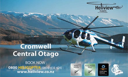 Heliview Flights