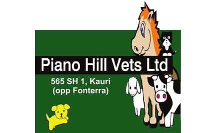 Piano Hill Vets