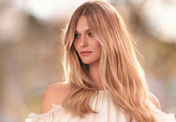 Ultimate Hair Colour Package - Options for 1/4, 1/2 or Full Head of Foils incl. Senior Stylist Style Cut & Blow Wave Finish