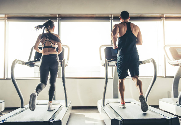 Anytime Fitness Whangarei