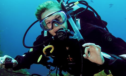 Dive Wellington
