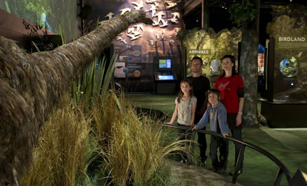 The Karori Sanctuary Experience - Guided Tour