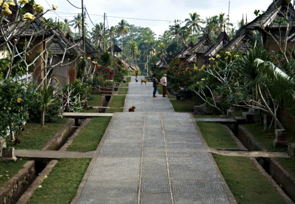 Bali Sun Tours