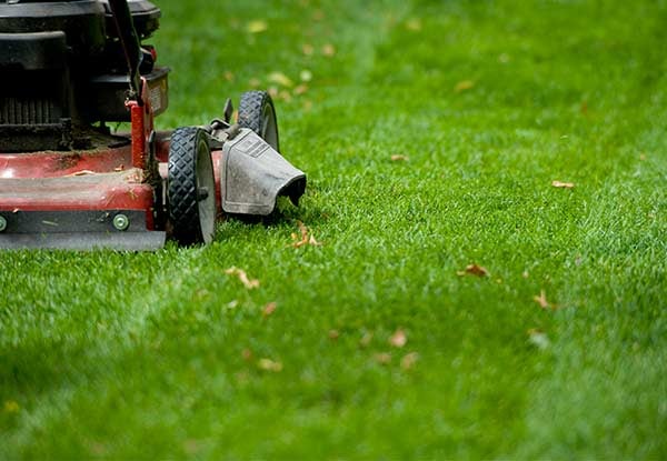 $19 for Lawn Mowing Services for up to 400m²