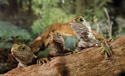 Rainbow Springs