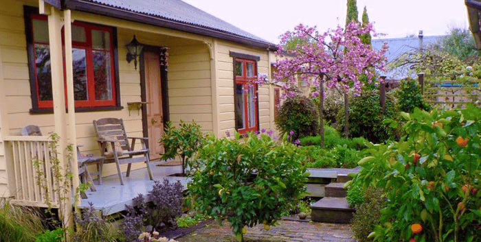 Shy Cottage Boutique Bed and Breakfast