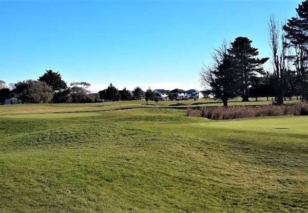 Concession Cards for Five Rounds of Golf- Options for Ten Rounds
