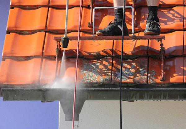 Everest Cleaning and Gardening Services