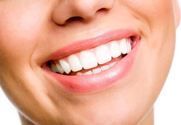 Dental Exam & Two X-Rays - Options for a Scale, Clean & Polish or to incl. Both