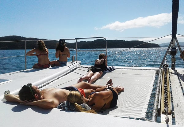 $59 for an Experience the Bay of Islands Full Day Cruise for a Child incl. Buffet Lunch & Two Island Stopovers or $95 for an Adult