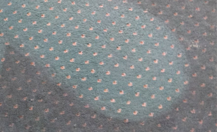 The Carpet Chemist