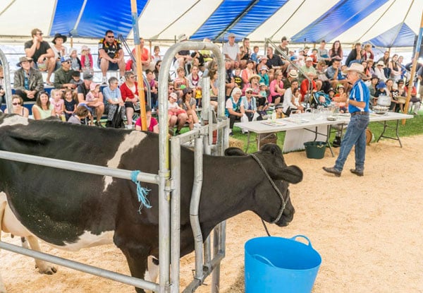 Whangarei Agricultural and Pastoral Society
