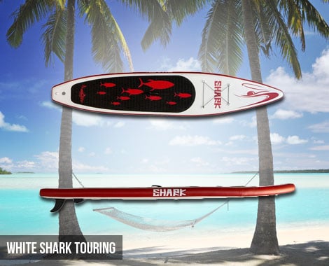 Shark SUPs NZ