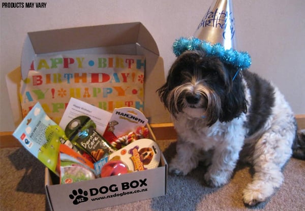 $24 for an NZ DOG BOX Surprise Box - Three Options
