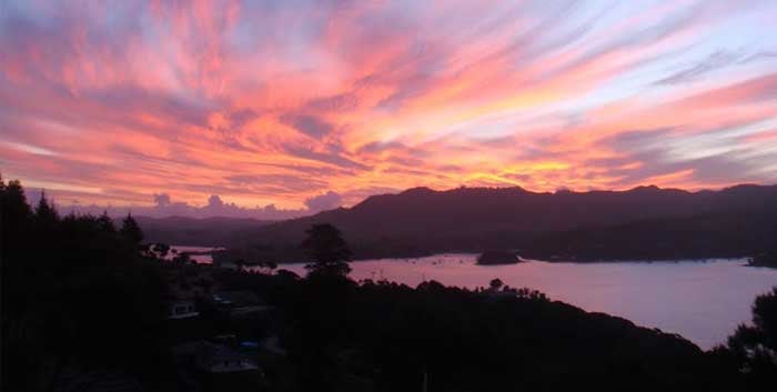 Prima  A Situ - Whangaroa Harbour