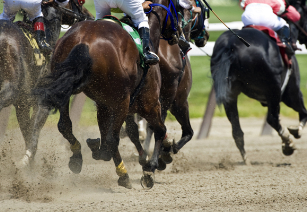 Live Screening of the Melbourne Cup with Bottomless Canapes, Beverages & Live Entertainment for Ten People incl. Two Bottles of Bubbles
