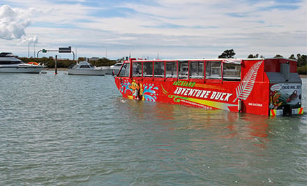 Auckland Adventure Duck