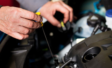 $79 for an Extensive Safety Check, Comprehensive Service & Warrant of Fitness (value up to $249)
