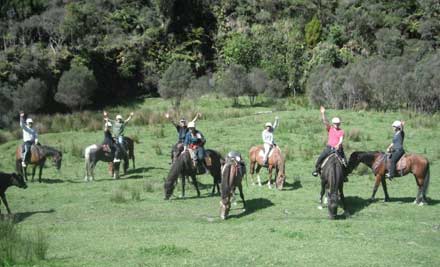 Horse Trek'n Piko Valley