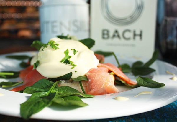 The Bach Cafe Napier
