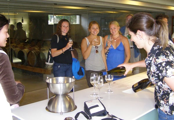 Wine Hopper Bus Queenstown