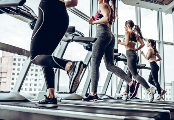 Fitstop Riccarton