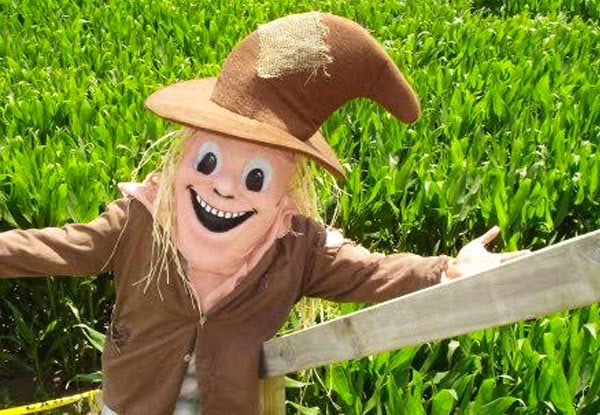 $10 for One Adult Entry or $6 for One Child Entry to The Amazing Maze 'n Maize, Kingseat - Options for up to Four People or a Family Pass