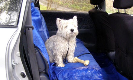 $12 for a Snafta Car Seat & Floor Protector (value $34.95)