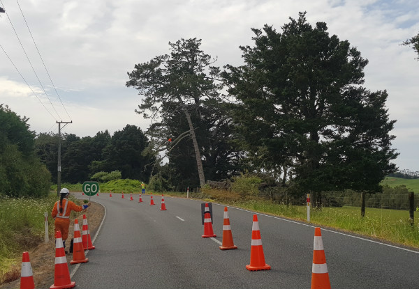 McLean Tree Services