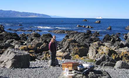 Kiwi Coastal Tours