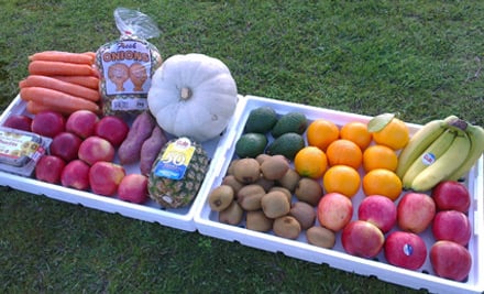 New Lynn Fresh