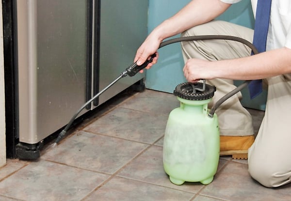 $49 for One Pest Control Treatment or $79 for Two Treatments - Eliminate Rats & Mice, Cockroaches, Ants, Spiders or Fleas (value up to $140)