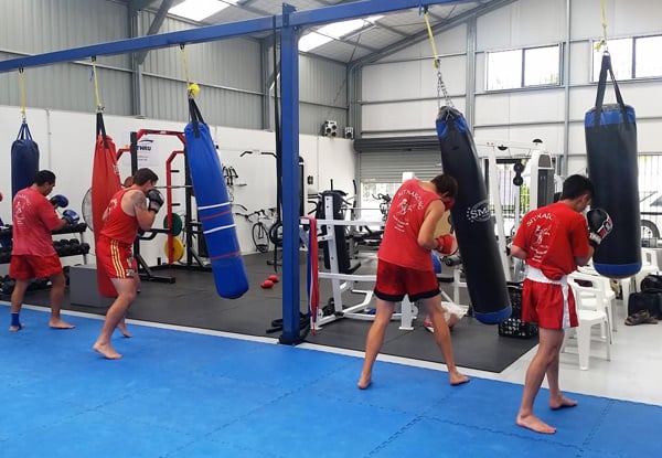 $29 for a One-Month Muay Thai Boxing Club Membership or $95 for Three-Months (value up to $285)