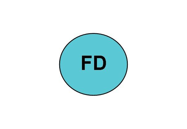 Fiona Dowling Endurance