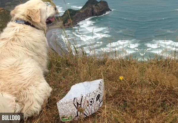 Portable Travel Dog Bowls