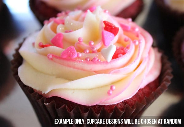 $15 for Six Gourmet Cupcakes or $30 to incl. Teddy Bear & Bouquet of Flowers (value up to $60)