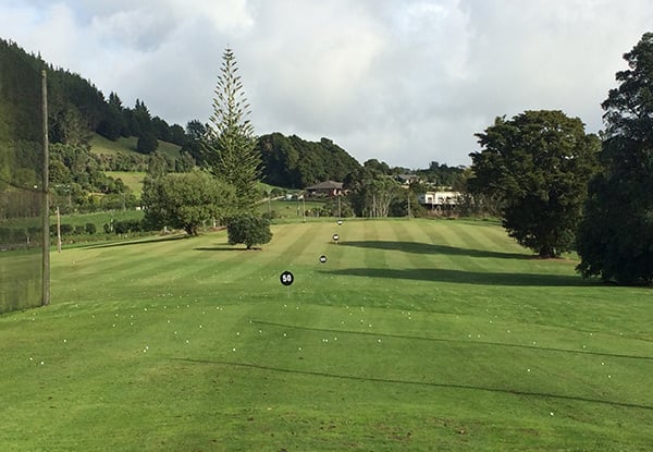 $6 for a Large Bucket of Driving Range Golf Balls – Options for Two or Four Buckets (value up to $48)